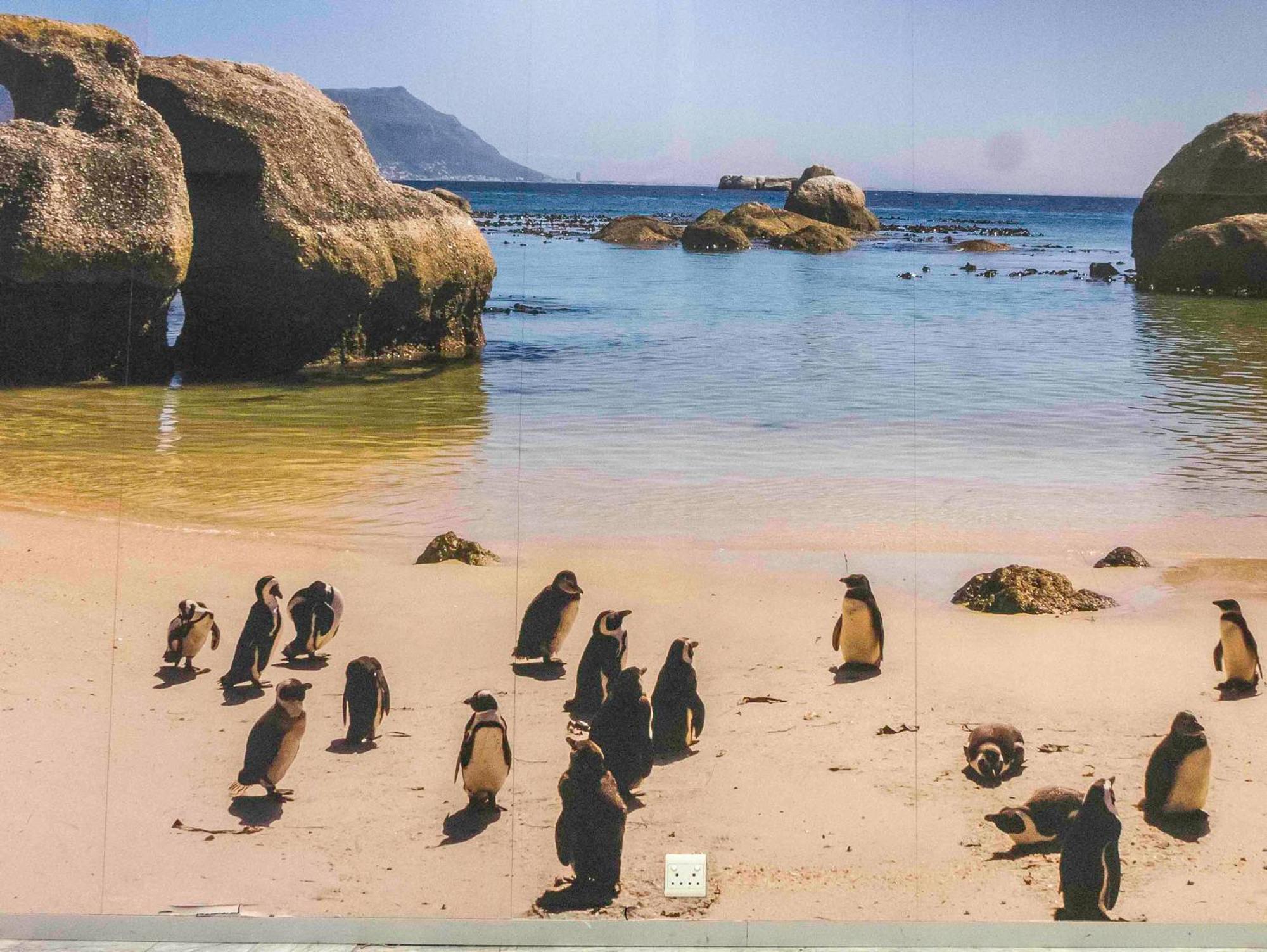 Flamingo Sea Point Sea View Luxury Best Position 1 Bedroom Apartment Queen Size Bed & Inverter For Tv Kaapstad Buitenkant foto